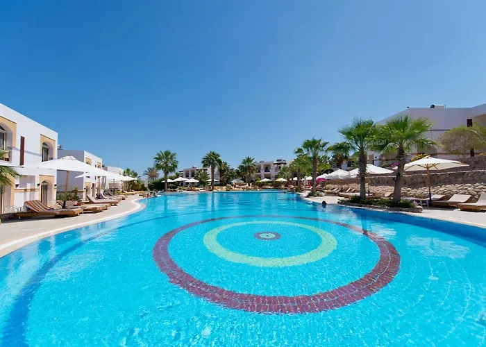 Amphoras Blu Ultra-Ai Adults Friendly